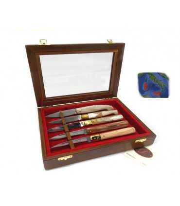 Delfiero display case in birch and ayous wood with 5 regional knives