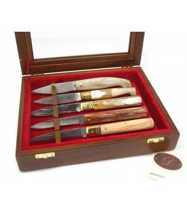 Delfiero display case in birch and ayous wood with 5 regional knives