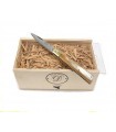 Coltello bistecca siciliano in corno con scatola Delfiero Selection From