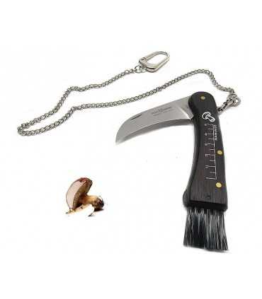 Coltello Fox 403 coglifunghi manico in legno