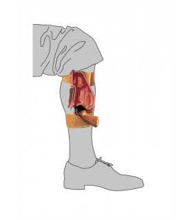 CA1 - Upside down leather ankle holster