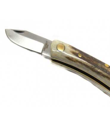 Coltello Virginia manico cervo lama cm 6 VI3461