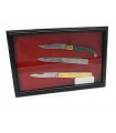 Showcase display cabinet for knives 31x18.5 cm