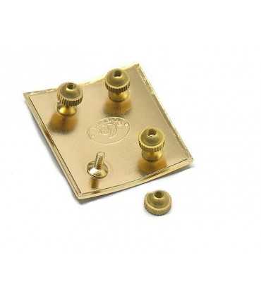 Municipal police officer badge