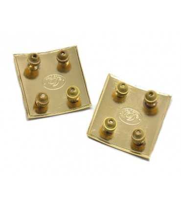 Municipal police assistant chief badge from the sixth to eighth year