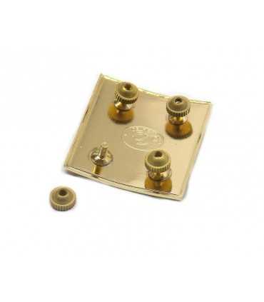 Municipal police two golden bars on metal badge