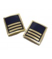 Municipal police three golden bars on metal badge