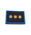 Grade strip Municipal Police three golden stars