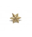 Golden star 6 points with metal screw