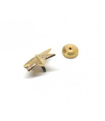 Golden star 6 points with metal screw