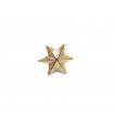 Golden star 6 points with divergent flaps