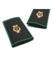 Tubular black musical band golden zither green border