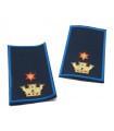 Tubular commanding officer Municipal police 1 tower and 1 star edged