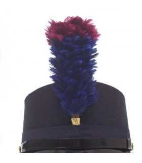 MUSICAL BAND HAT PLUME