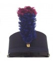 MUSICAL BAND HAT PLUME