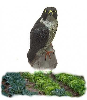 SPORT PLAST DECOY PEREGRINE FALCON