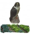 SPORT PLAST DECOY PEREGRINE FALCON