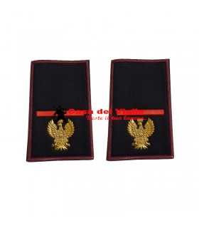 copy of Tubular assistant of municipal police