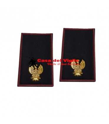 copy of Tubular assistant of municipal police