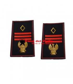 NUOVI Gradi ASSISTENTE CAPO COORDINATORE Polizia di Stato Tubolari plastificati Grado Ordine pubblico