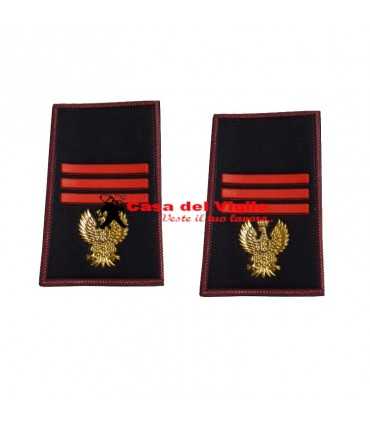 NUOVI Gradi ASSISTENTE CAPO Polizia di Stato Tubolari plastificati Grado Ordine pubblico