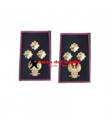 copy of Tubular assistant of municipal police