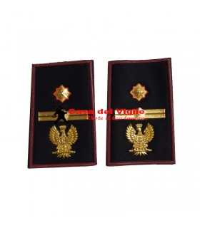 copy of Tubular assistant of municipal police