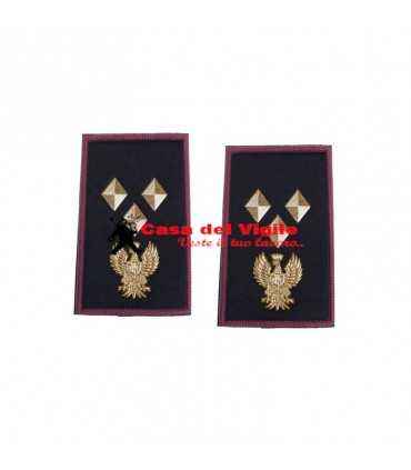 copy of Tubular assistant of municipal police