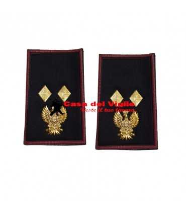 copy of Tubular assistant of municipal police