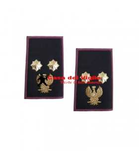 NUOVI Gradi VICE COMMISSARIO Polizia di Stato Tubolari plastificati Grado Ordine pubblico