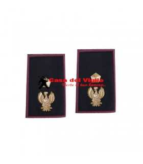 NUOVI Gradi VICE ISPETTORE Polizia di Stato Tubolari plastificati Grado Ordine pubblico