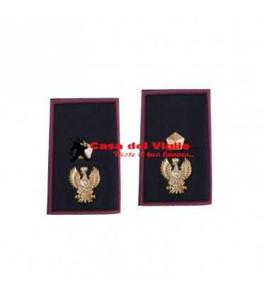 copy of Tubular assistant of municipal police