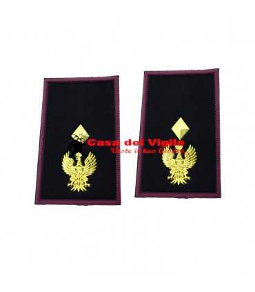 copy of Tubular assistant of municipal police