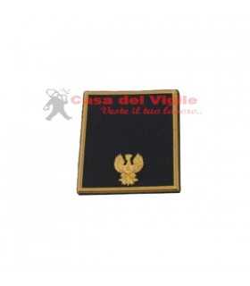 copy of Tubular assistant of municipal police