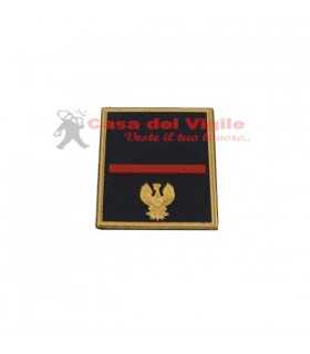 copy of Tubular assistant of municipal police