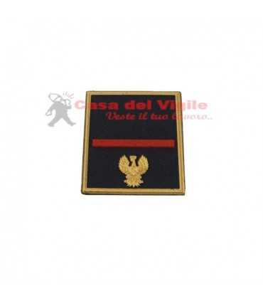 copy of Tubular assistant of municipal police