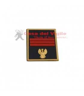 copy of Tubular assistant of municipal police