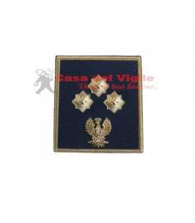 copy of Tubular assistant of municipal police