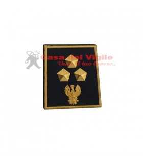 copy of Tubular assistant of municipal police