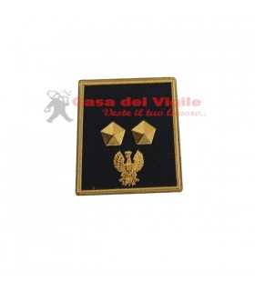 copy of Tubular assistant of municipal police