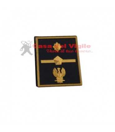 copy of Tubular assistant of municipal police