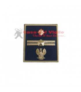 copy of Tubular assistant of municipal police