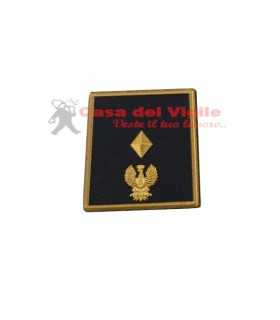 copy of Tubular assistant of municipal police