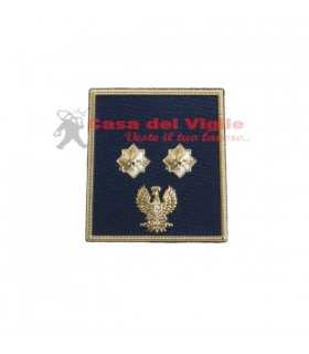 copy of Tubular assistant of municipal police