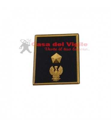 copy of Tubular assistant of municipal police