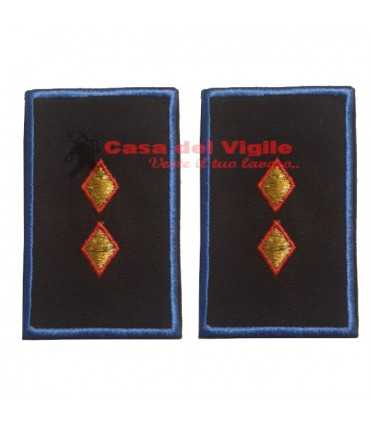 copy of Tubular assistant of municipal police