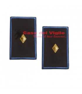 copy of Tubular assistant of municipal police