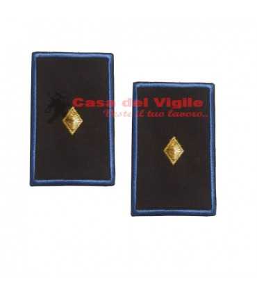 copy of Tubular assistant of municipal police