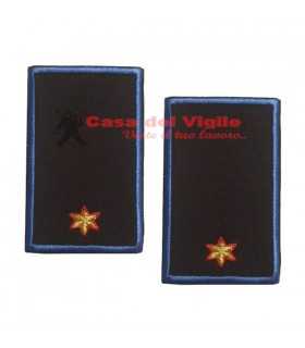 copy of Tubular assistant of municipal police