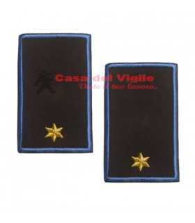 copy of Tubular assistant of municipal police